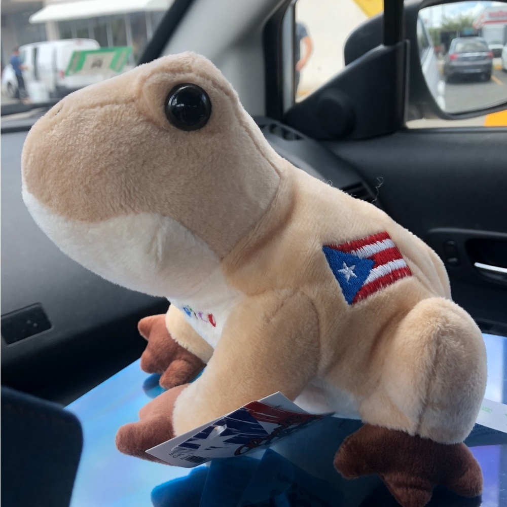 COPY - “The Coqui of PR Plush” Souvenirs, New!